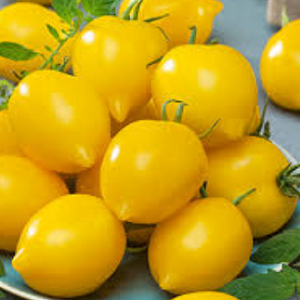 Tomato Lemon Plum