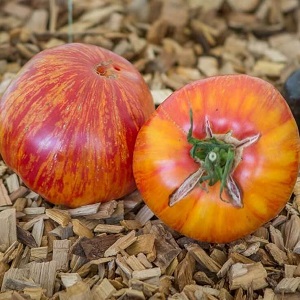 Tomato Lover`s Lunch