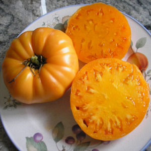 Tomato Persimmon