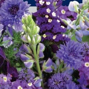 Summer Flowers Mix-Blue