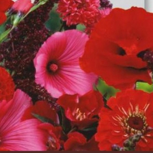 Summer Flowers Mix-Red