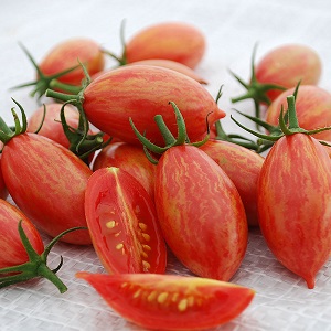 Tomato Pink Tiger