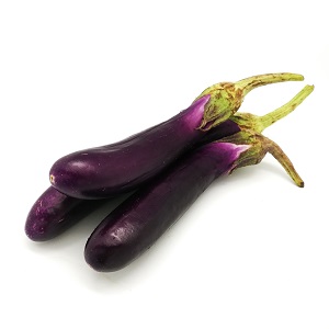 Malaysian Dark Red aubergine/eggplant/berenjena 20 graines/seeds/semillas 