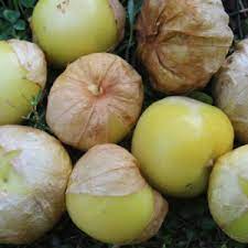 Tomatillo Mexican Strain