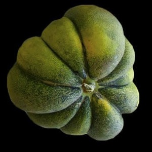 Nickerie Triangle Melon